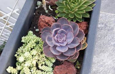 Sunrise - Casa Sao Joao - 4 Star Tourist Apartments - Photo 33