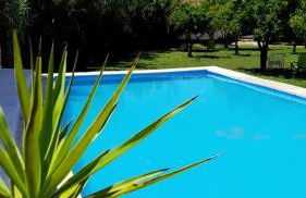 Quinta da Ponte das Hortas 2 - Foto 5