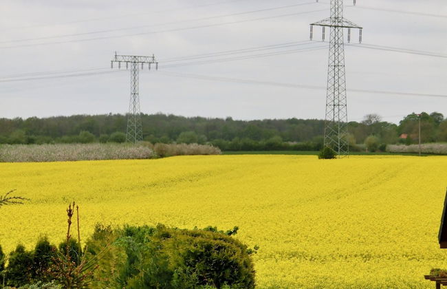 Apartment in Neu Ludershagen With Terrace - Foto 21