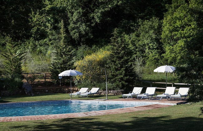 Verdidea - PODERE MONTI - Photo 50