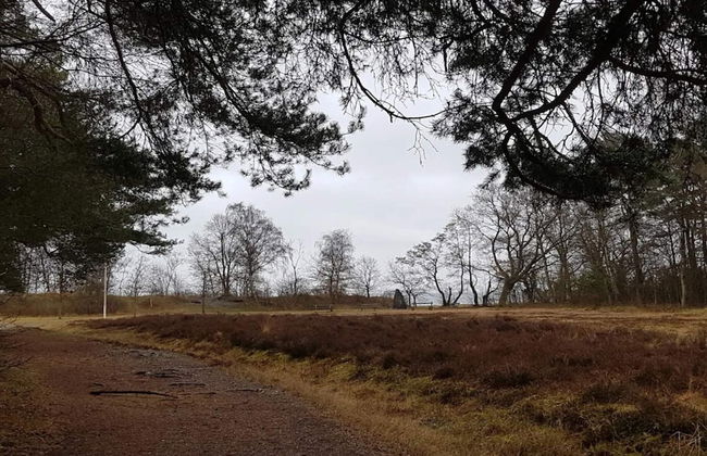 12 Person Holiday Home in Ega-by Traum - Foto 7