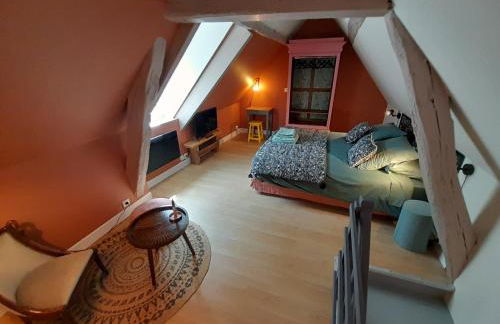 Gite La folie de Séraphine - Foto 15