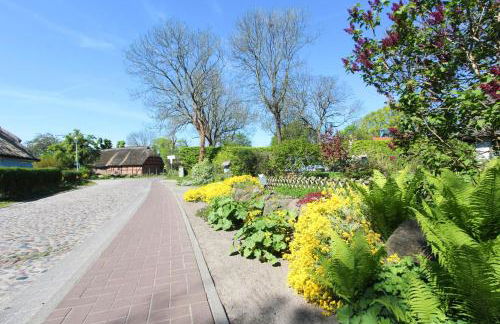 moderne Ferienwohnung mit eigener Terrasse - Haus Inselwind FeWo MEERsand - Foto 3