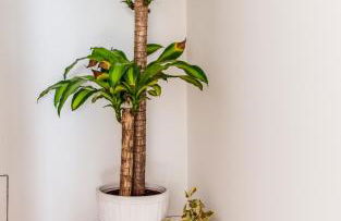 Edmond Vibes Barrio de Salamanca - Foto 41