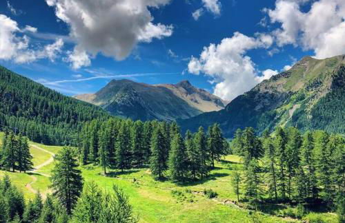 Studio Cocon aux Orres 1650 au pied des pistes et vue montagne - Foto 9