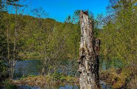 Apartment Franciska - Foto 30