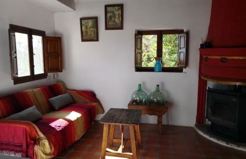 Cortijo Buena Vista - Photo 41