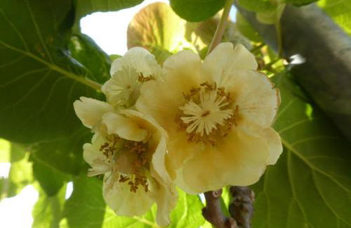 Quinta do Cobral - Foto 32