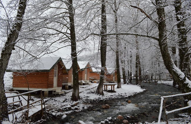 Farma Sotira - Foto 64