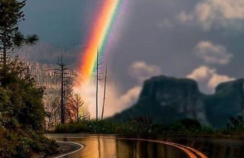 Cantinho do Pequeno Arthur - Photo 11