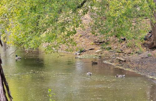 Nature's Blissful Haven - King Bed & Heated Garage - Foto 32