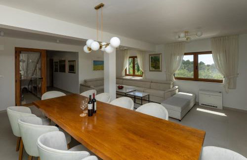 Villa Mikić - Foto 16