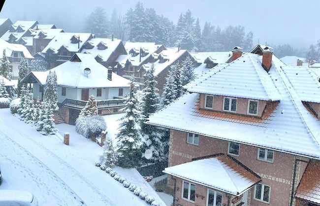 Green Hill Zlatibor Apartment - Photo 17