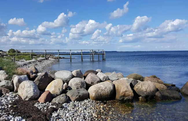 4 Person Holiday Home in Frorup - Photo 46