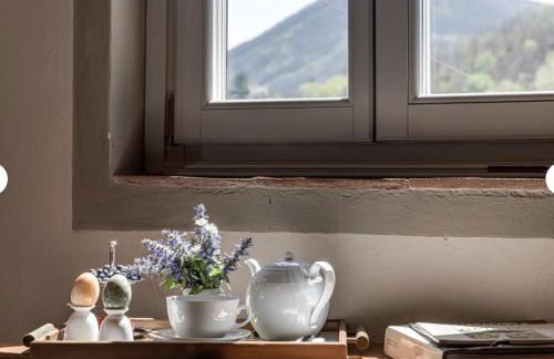 Villa Porcigliano Olive Grove - Foto 43