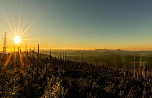 Wohnung in Sonnen nahe Skiliften - Foto 34
