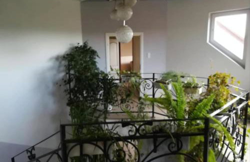 Agroturystyka Biełka - Photo 18