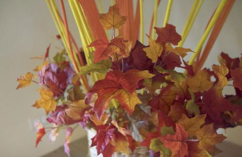 Il Tremarino - Foto 58