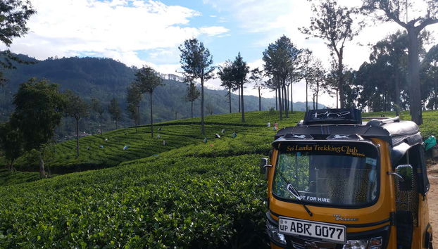Tuk tuk pendant l'activité