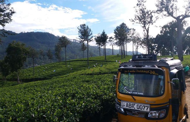 Tour en tuk tuk por las plantaciones de té de Haputale - Foto 4