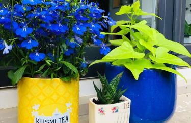 La ti case - studio de charme au coeur du medoc - Foto 13