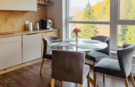 Keller Apart - Kurort Kozubnik K25 - Foto 9