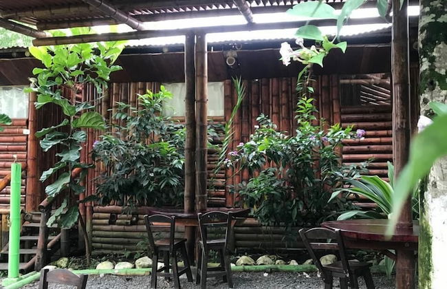 Ecocabañas Pereira - Foto 46