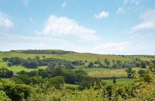 Dolfran Bach - Photo 15