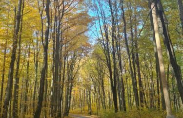 Domek Konrad - balia ogrodowa dodatkowo płatna - Foto 60