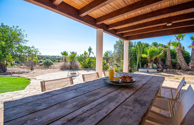 Yoba Horse Farm in Carvoeiro - Foto 5