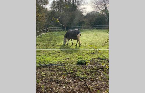 Windsor/Ascot/Bracknell beautiful barn - Photo 21