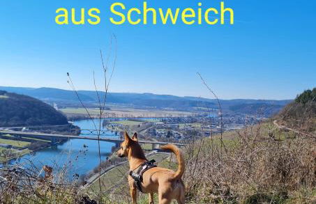 Familie Jonas - Foto 42