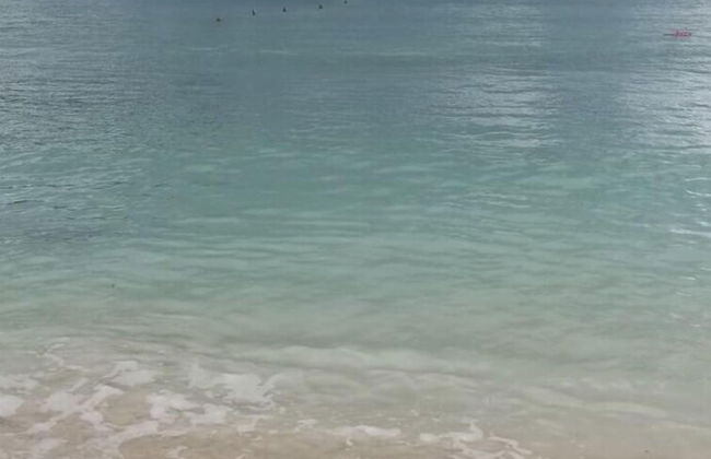 Ocho Rios Vacation - Apartment - Photo 16