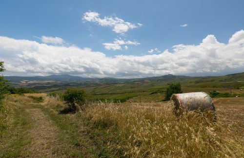 Casina di Dario - Pet Friendly - Foto 22