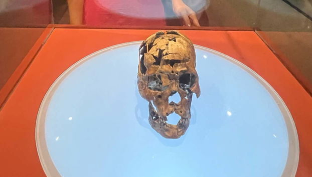 Tour de 3 días por el Parque Nacional de la Sierra de la Capibara - Foto 5, Pieza de uno de los museos que visitaremos