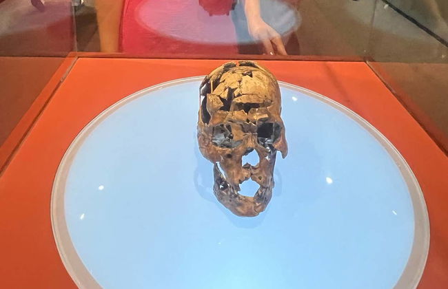 Tour de 3 días por el Parque Nacional de la Sierra de la Capibara - Foto 5