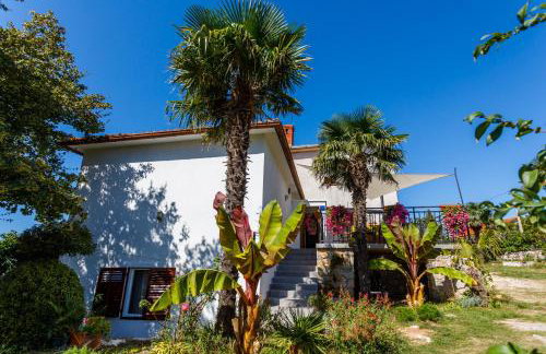 Apartment Ane - Photo 4