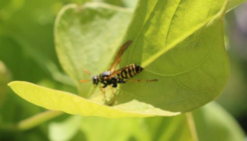 Schwoererhof - Photo 4, Other