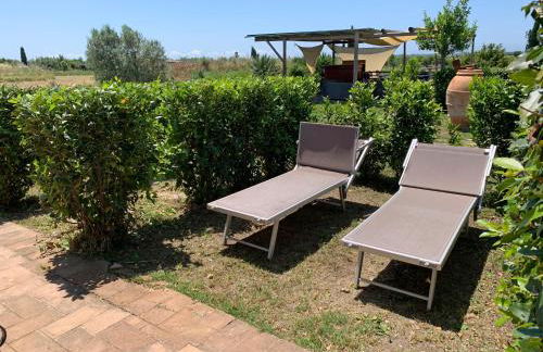 Resort Fonte Vulci - Foto 145