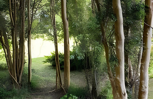 Cabañas Los Notros Puerto Varas - Foto 38