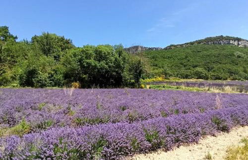 Gîte La Colombière, Le Poët-Laval (26) 8-15 pers. - Foto 44
