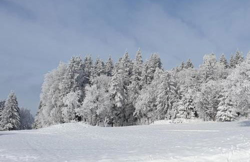 Ferienhaus Bringfriede - Foto 29