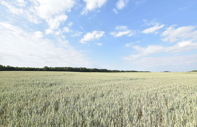 Geraeumige Ferienwohnung in Boddin mit Garten - Foto 31