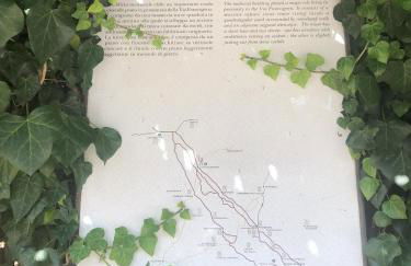 Casa Marina - appartamento sulla Via Francigena, vicino a Monteriggioni - Foto 28