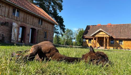 Farma Puchałowo - Foto 5