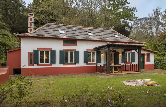 Surrounded by Nature - Casa da Cebola - Foto 27