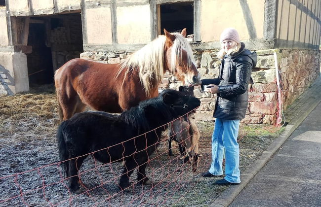 Wohnung mit Eigener Terrasse in Huddinge - Photo 10
