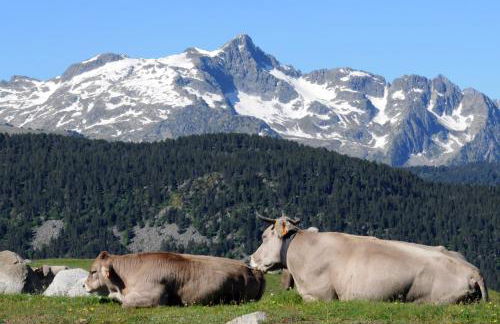 El Refugio de Aran Vielha Aparthotel - Foto 108