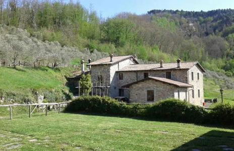 Le Chianine dei Tognoli - Foto 18