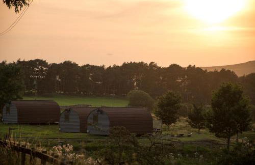 Wild Northumberland Glamping - Foto 79